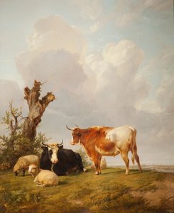 Vue dans la vallée de Stour avec deux vaches